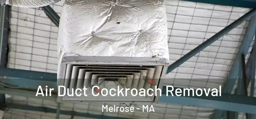  Air Duct Cockroach Removal Melrose - MA