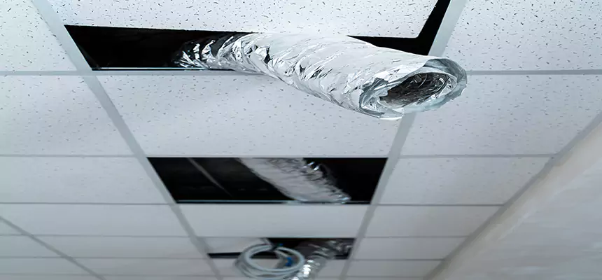 Affordable HVAC Sanitizing After Pest Removal in Melrose