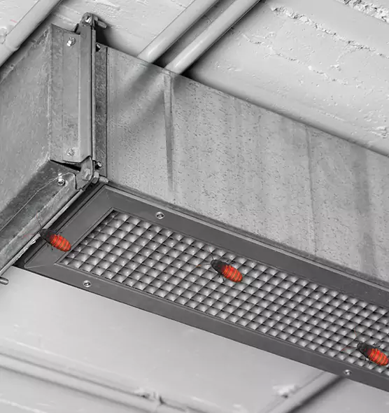 About Air Duct Cockroach Removal in Melrose, MA