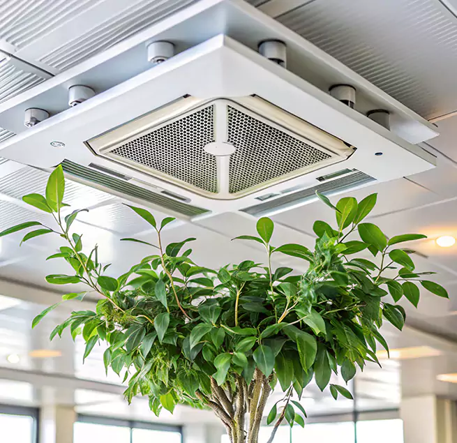 Why Homeowners & Businesses Trust Us in Melrose, MA?