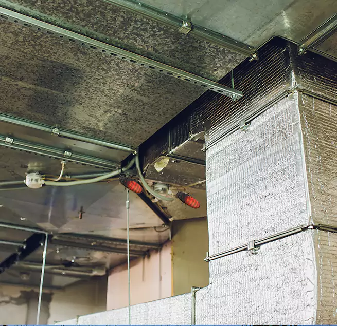 Why Homeowners & Businesses Trust Us Melrose, MA?